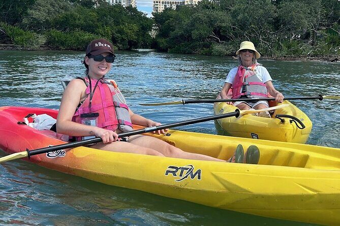 Single Kayak Rentals at The Bay - What to Expect on the Water