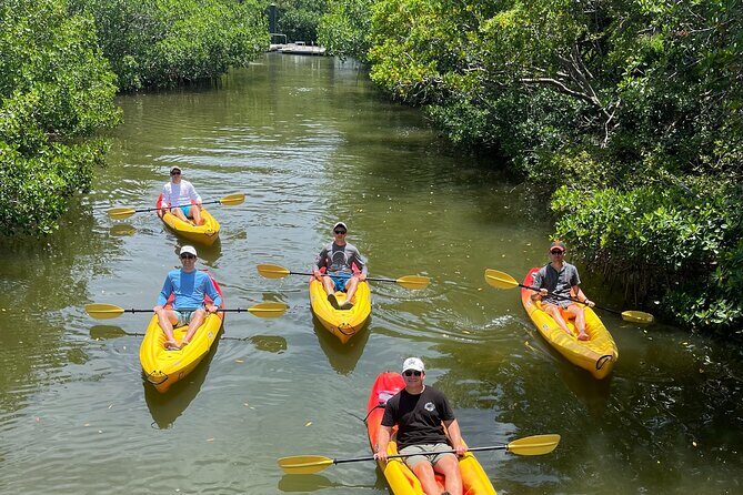 Single Kayak Rentals at The Bay - Who Will Love This Experience?