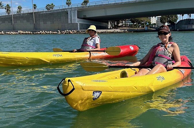 Single Kayak Rentals at The Bay - The Sum Up