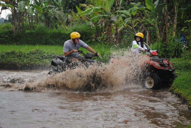 Single Quad Bike ATV Ride in Ubud - The Route: What You’ll Encounter