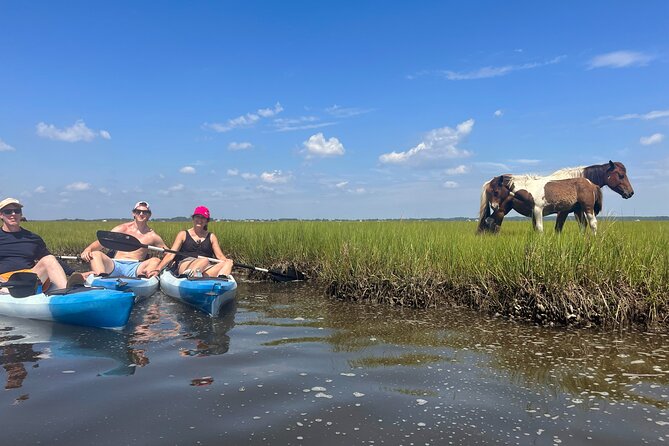 Single Sit on Top Kayak Rental at Assateague Island, MD - Assateague Island National Seashore: A Unique Backdrop