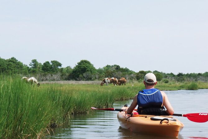 Single Sit on Top Kayak Rental at Assateague Island, MD - Customer Reviews and Ratings