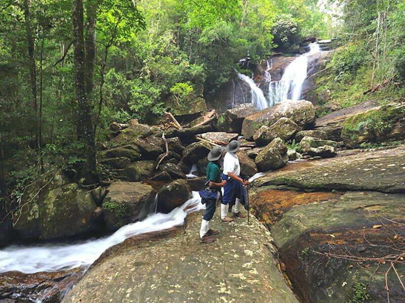 Sinharaja Rain Forest UNESCO Walk and Bird Watching Day Tour - Key Points