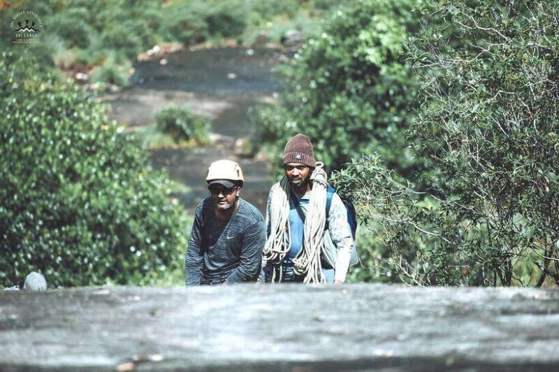 Sinharaja Rain Forest UNESCO Walk and Bird Watching Day Tour - A Deep Dive into the Sinharaja UNESCO Rainforest Tour