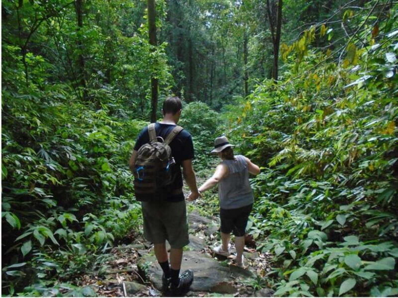 Sinharaja Rain Forest UNESCO Walk and Bird Watching Day Tour - The Sum Up