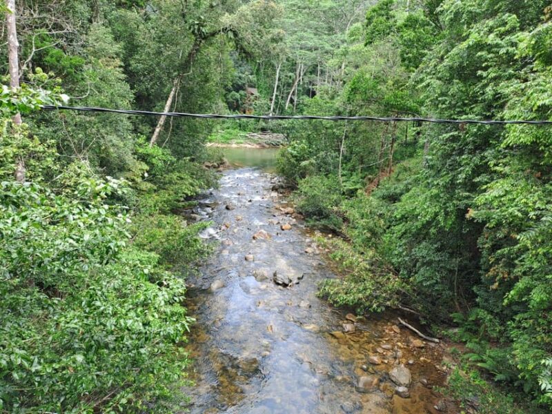 Sinharaja Rainforest Tour - Guided Tour Inclusions