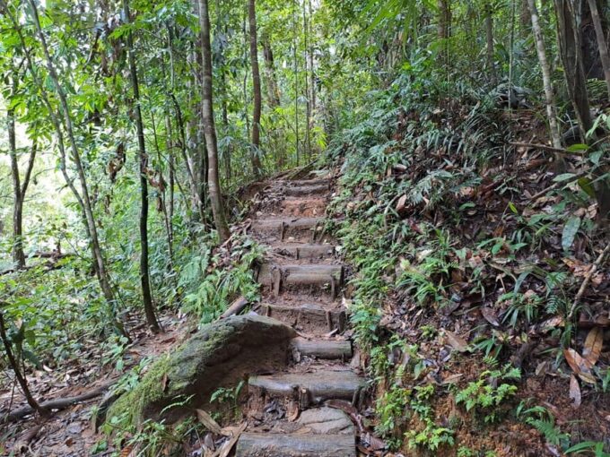 Sinharaja Rainforest Tour - Frequently Asked Questions
