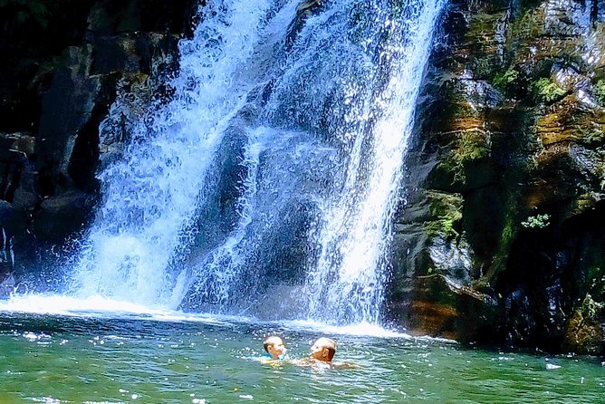 Sinharaja Rainforest Tour - Highlights of the Tour