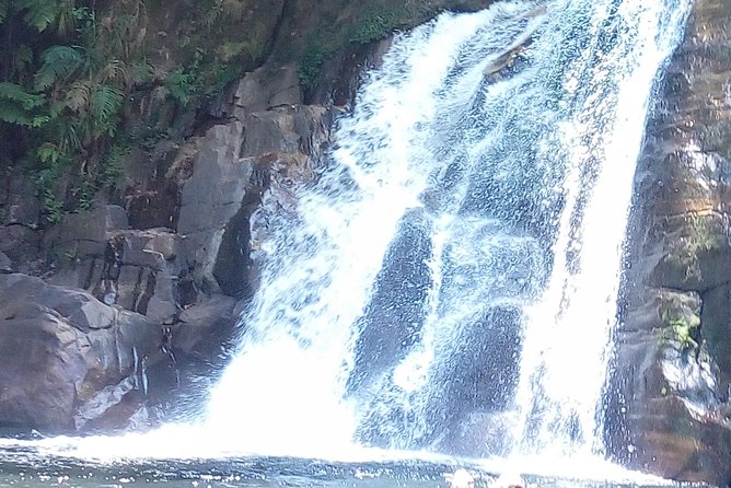 Sinharaja Rainforest Tour - Additional Information