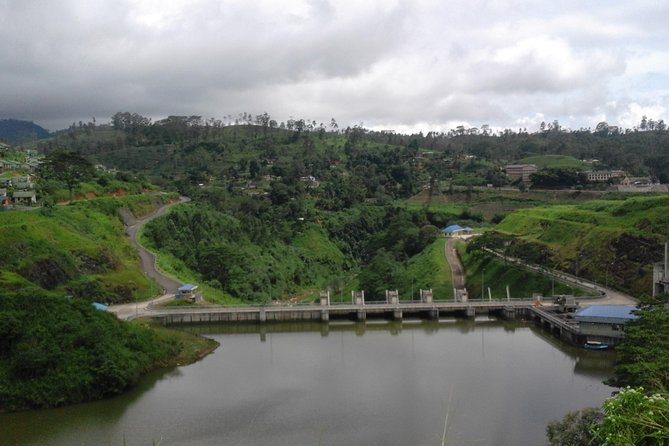 Sinharaja Rainforest Tour - Review Highlights