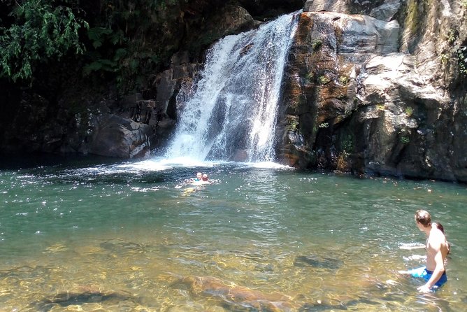 Sinharaja Rainforest Tour - Tour Itinerary