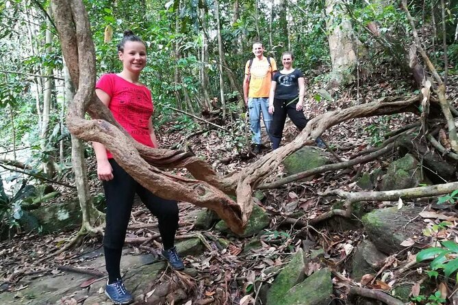 Sinharaja Trekking Trip From Bentota/Kalutara/Hikkaduwa/Galle - Guided Trekking Experience