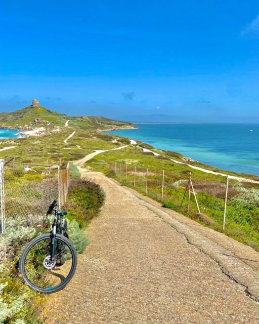 Sinis Peninsula: Mountain Bike Tour - Experience and Highlights