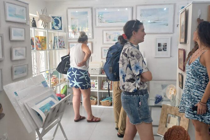 Sint Maarten Art Gallery Guided Tour - What Travelers Are Saying