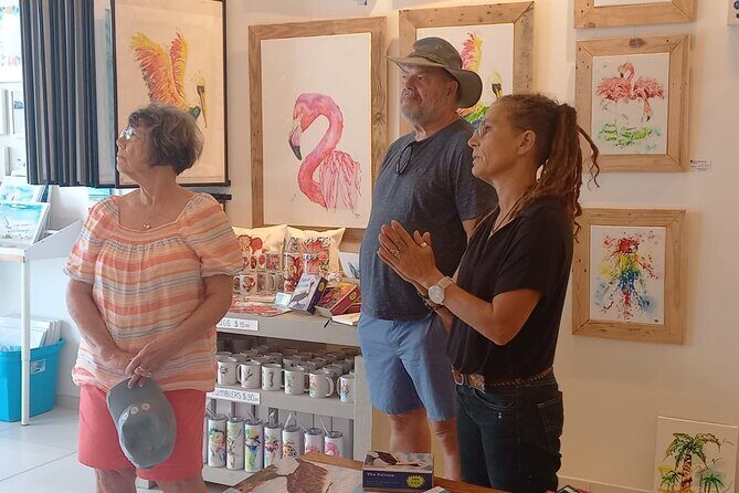 Sint Maarten Art Gallery Guided Tour - Analyzing the Value