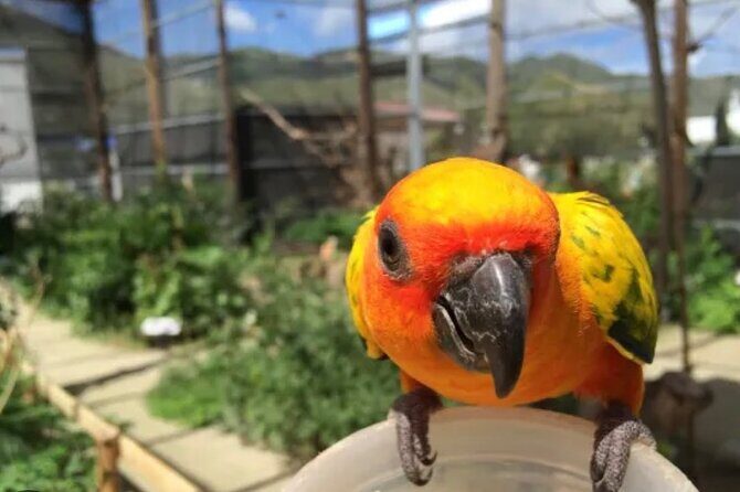 Sint Maarten Island Private Tours - Why Choose This Tour?