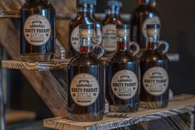 Sint Maarten Pirate Experience at the Rusty Parrot - The Sum Up: Who Will Love This Experience?  