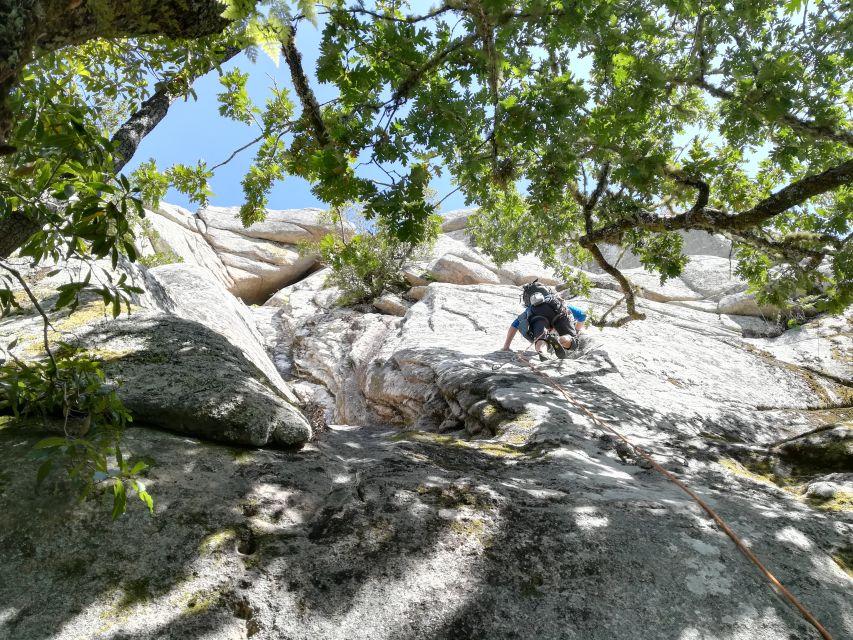 Sintra: 3.5-Hour Rock Climbing Experience - Climbing the Rocks of Sintra Natural Park