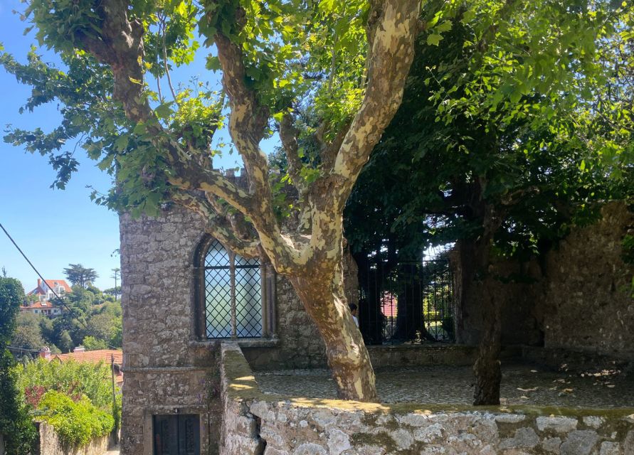 Sintra: Adventure Hike Around Sintras Most Popular Castles - 3-Hour Adventure Hike