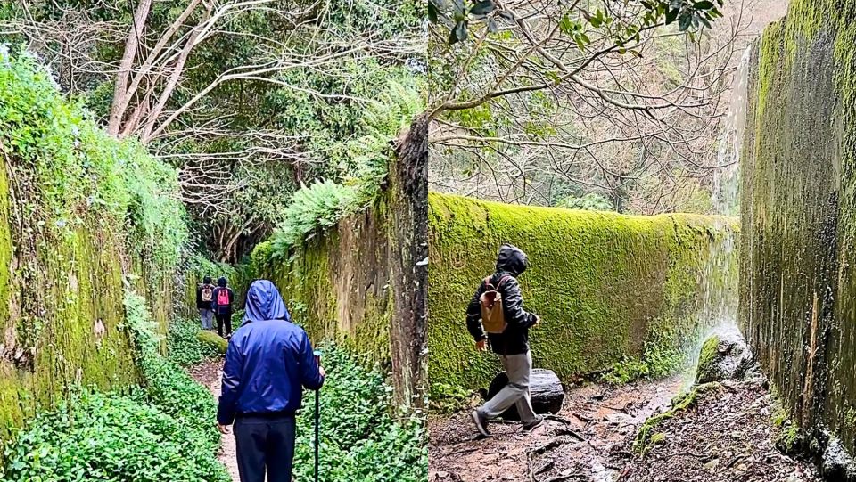 Sintra: Adventure Hike Around Sintras Most Popular Castles - Book Your Adventure