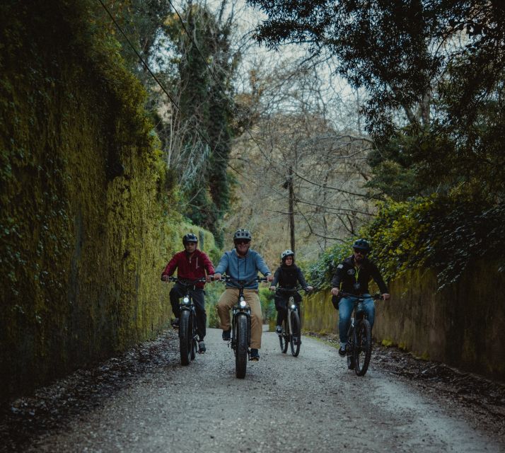 Sintra: Biester Palace and Park E-Bike Tour With Sightseeing - Requirements and Restrictions