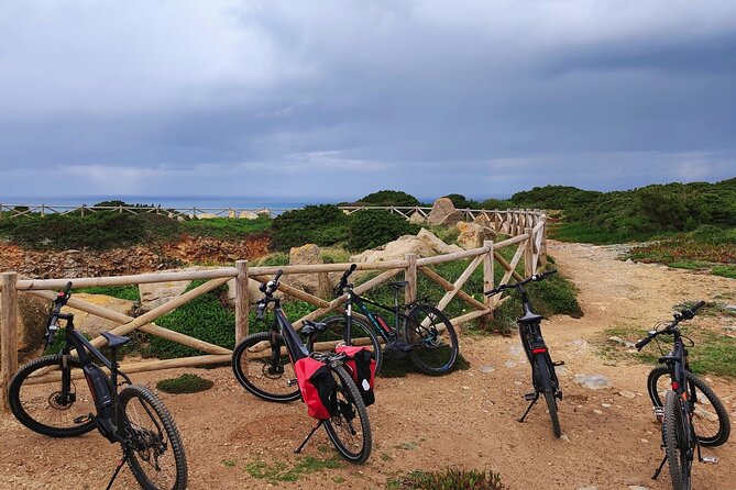 Sintra & Cascais De E-Bike Tour - Logistical Considerations