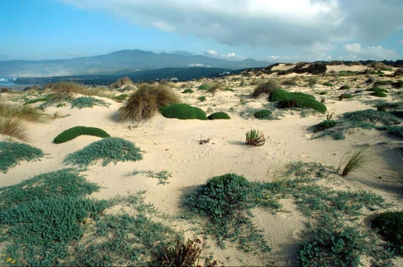 Sintra Cascais Top trekking - Why Choose the Sintra Cascais Top Trekking?