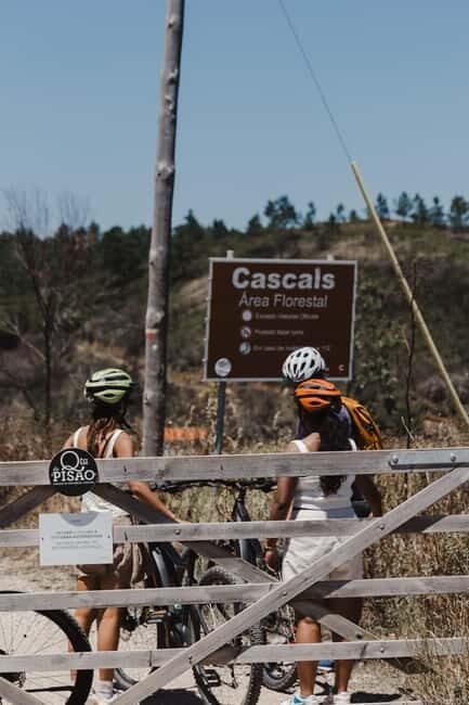 Sintra: E-bike tours of the incredible landscapes - Why This Tour Offers Great Value