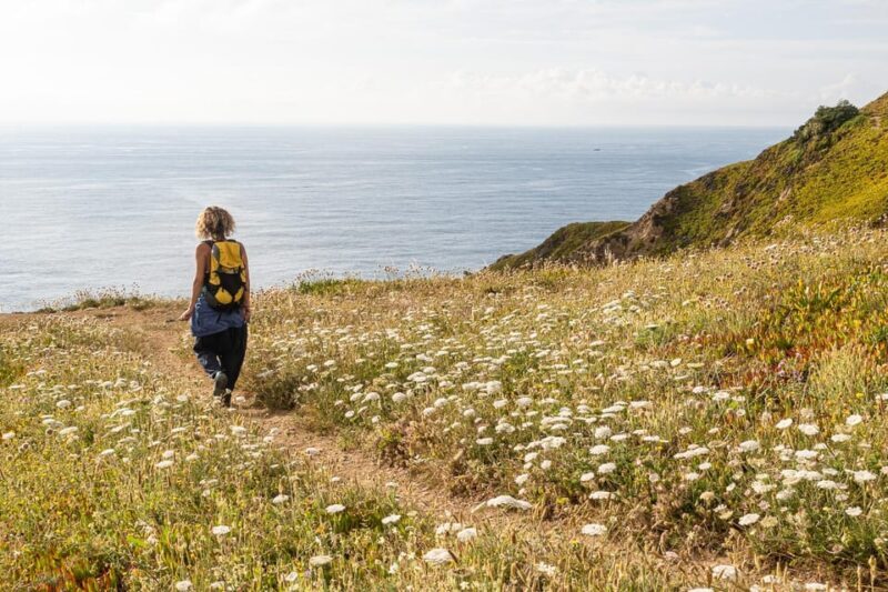 Sintra: Flexible Hiking Tour in Praia da Ursa - Final Thoughts