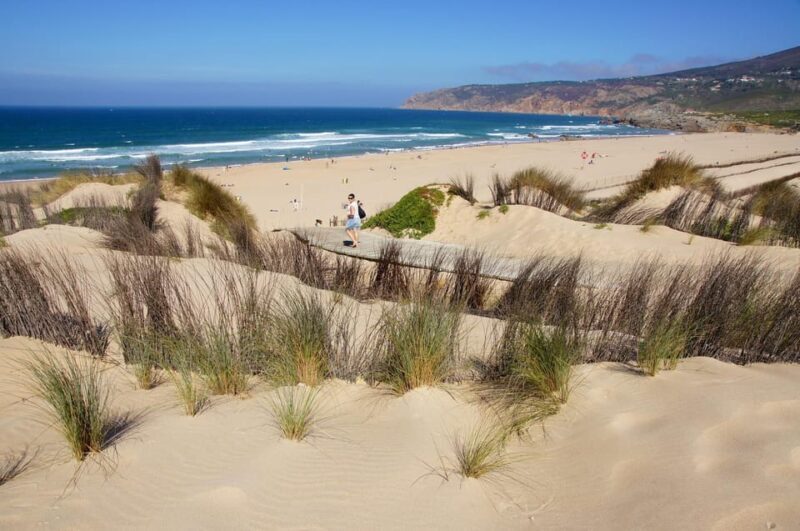 Sintra: Full-Day Deluxe Tour with Pena Palace ticket - Final Thoughts: Who Is This Tour Best For?