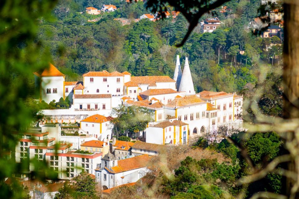 Sintra: Full-Day Private Tour & Pena Palace Entry Option - Quinta Da Regaleira