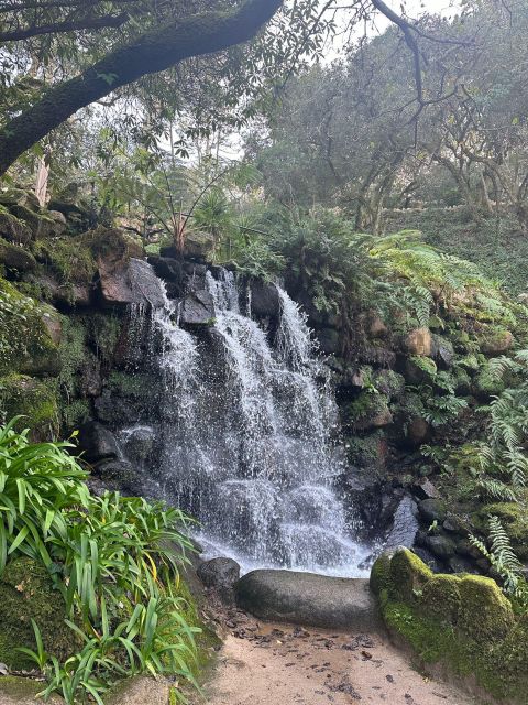 Sintra: Highlights Tour, Coastline and Cascais - Visiting Cabo Da Roca