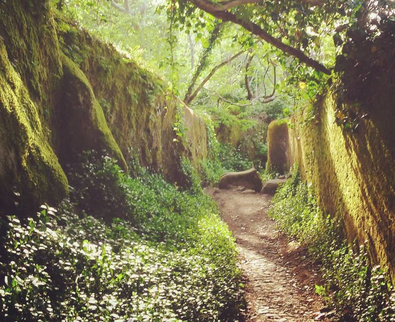 Sintra: Kingdom of Love Private Walking Tour With Historian - Exploring Sintras Enchanting Landscapes
