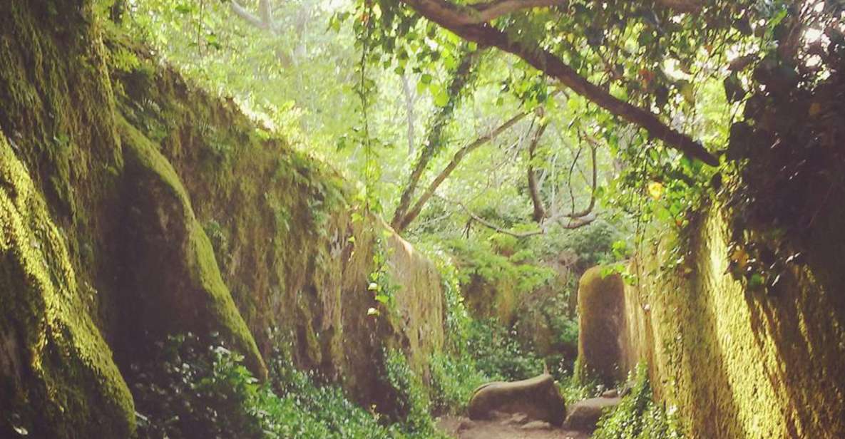 Sintra: Kingdom of Love Private Walking Tour With Historian - Accessibility and Mobility Limitations