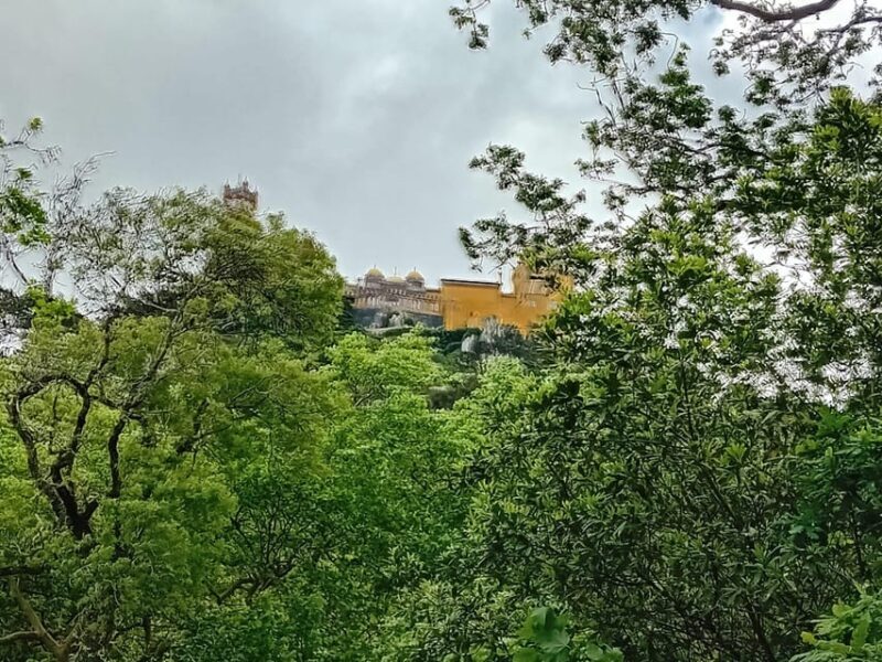 Sintra, Lisboa, - Relaxing in Cascais