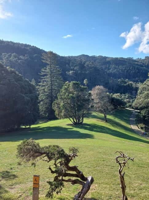 Sintra Monserrate Palace and Park Entrance E-Ticket - What You Can Expect During Your Visit