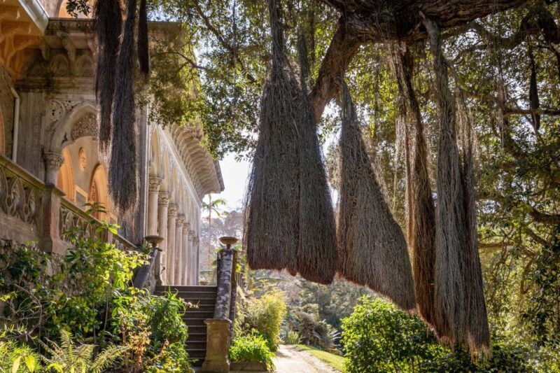 Sintra: Monserrate Palace & Park Ticket - A Deep Dive into the Monserrate Experience