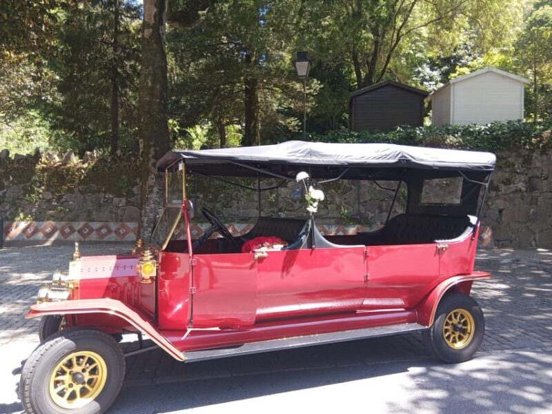 Sintra: Mountain tour by vintage TukTuk - The Practical Side: What’s Included and What’s Not