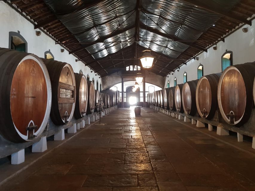 Sintra : Pena Palace Experience & Wine - Key Points