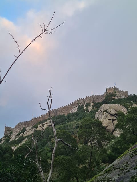 Sintra Portugal: 4 hours exploring the mountains and visiting a monument - Final Thoughts: Who Is This Tour Best For?