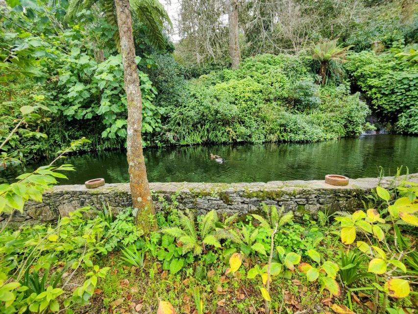 Sintra Private Tour: Regaleira and Biester Palace - Frequently Asked Questions