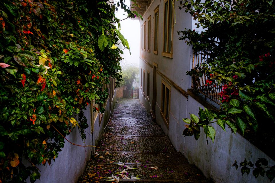 Sintra: Quinta Da Regaleira and Sintra Town Walking Tour - Why Choose This Tour