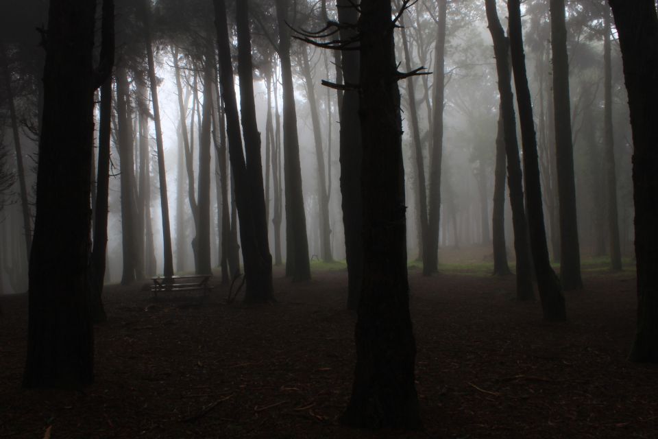Sintra: Sintra Vintage 4x4 - Discover Hidden Forest Locations