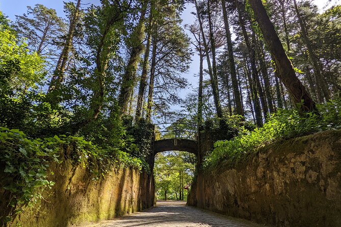 Sintra Small Group Tour From Lisbon: Pena Palace Ticket Included - Reviews and Testimonials