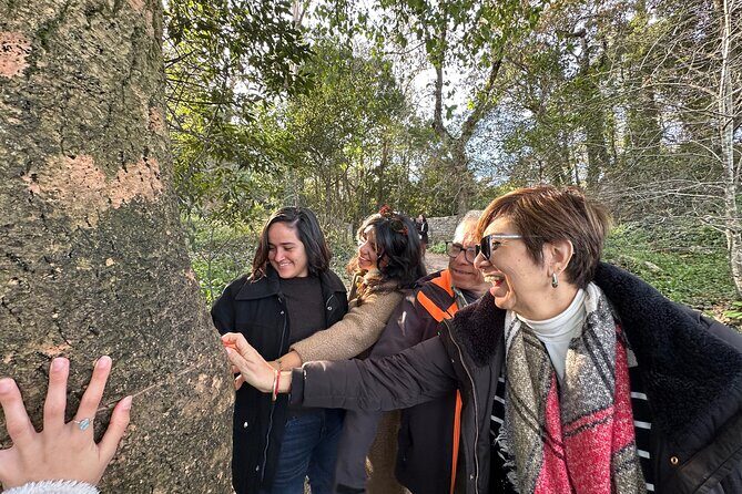 Sintra Tour by Electric Tuk Tuk - Exploring Sintra in Style: The Electric Tuk Tuk Tour