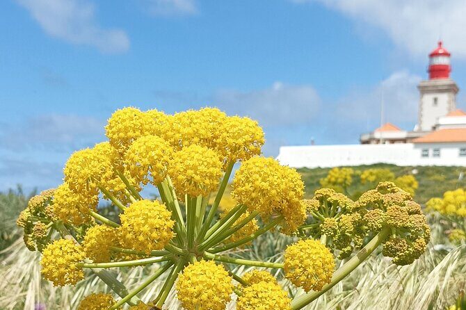 Sintra Tuk Tuk Tour. Mountain Monuments and Beaches - The Sum Up