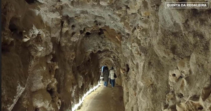 Sintra:Quinta da Regaleira Entry Ticket with Interactive App - Introduction
