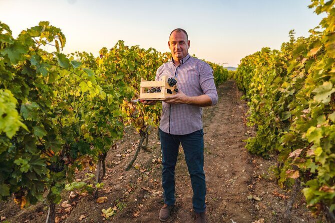 Sip and Savor: Private Yarra Valley Wine Tour from Melbourne - The Sum Up