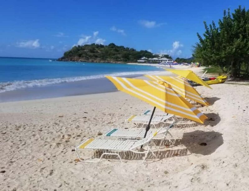 Sip & Paint with lunch on exciting Ffryes Tiki beach Bar - Key Points