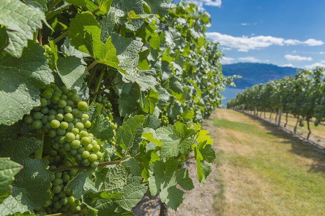 Sip & Savor: Private West Kelowna Wine Trail Escape - Key Points